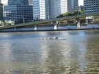 picture 007